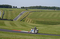 Touring Group White Bikes